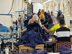 Egypt Factory Worker Welfare